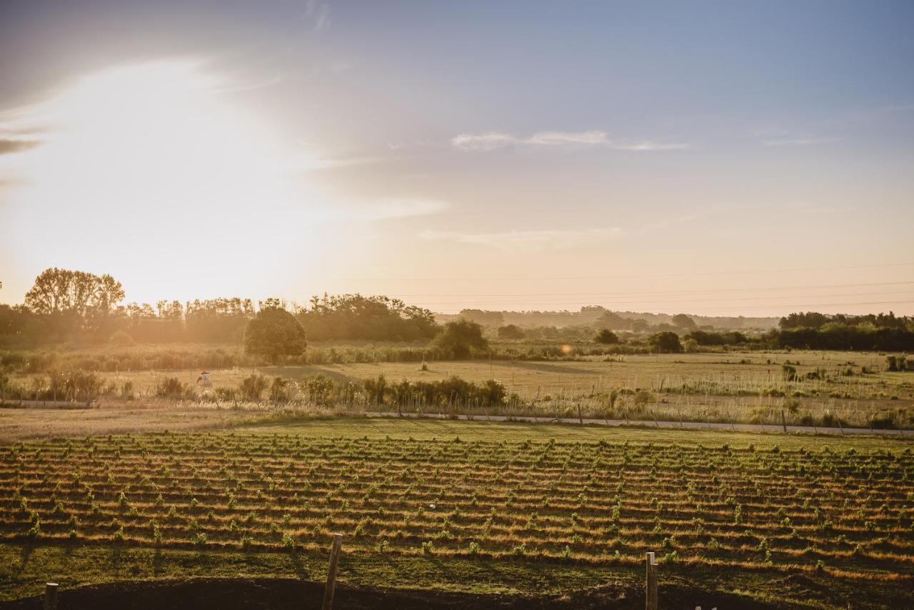 El Legado Wine Lodge Carmelo Luaran gambar